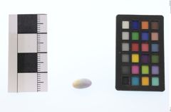 Foto von Opal (Edelopal) (NHMW-MIN-Ay836)